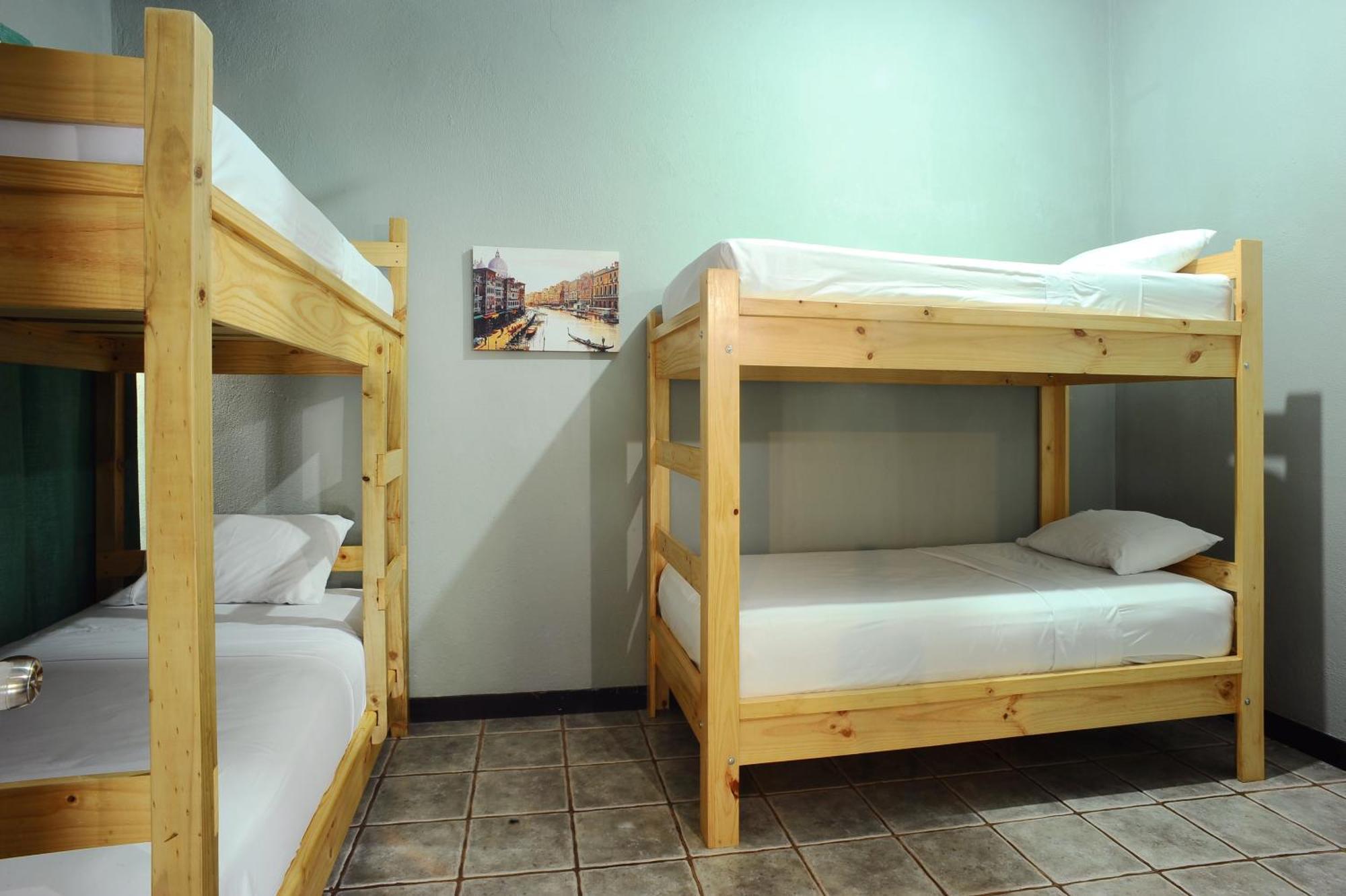 Private Fully Furnished Home At Wide Mouth Frog Hostel Quepos Bagian luar foto