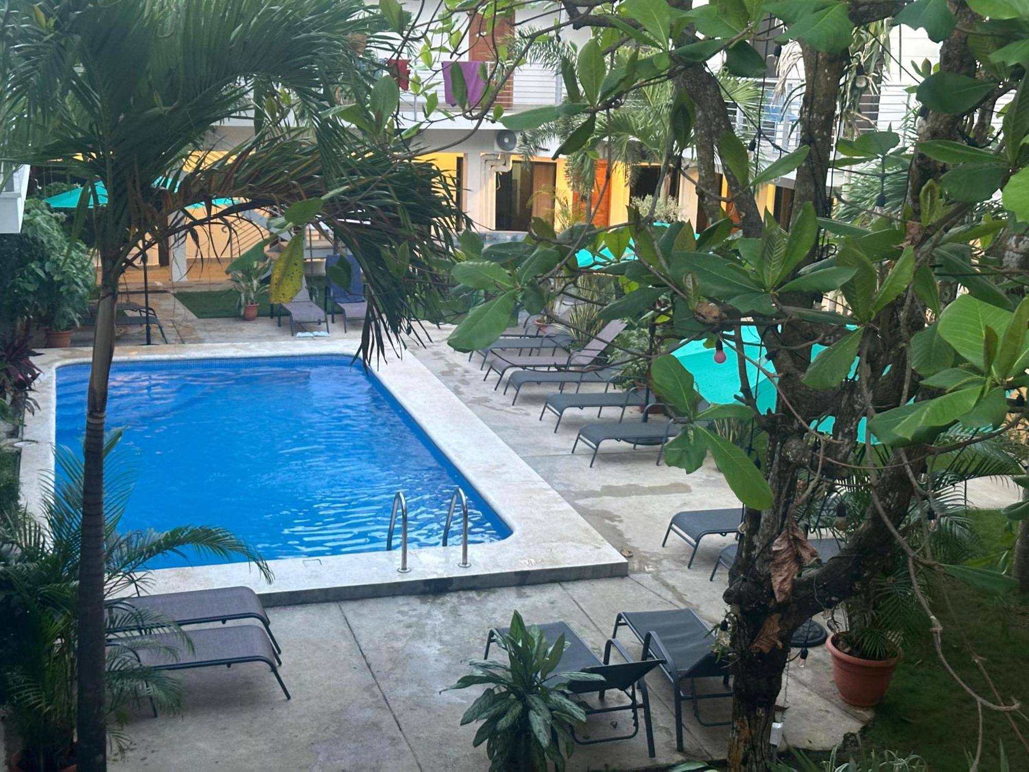 Private Fully Furnished Home At Wide Mouth Frog Hostel Quepos Bagian luar foto
